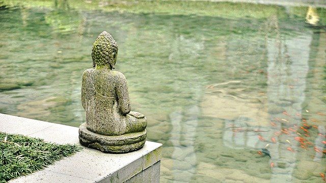 Meditation OPH TRUST YOUR OWN FEELING 